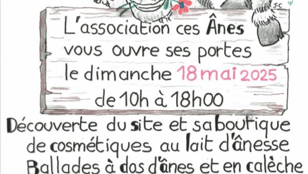 Portes ouvertes Association Ces Anes - Warhem.jpeg